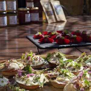 Atelier Plantes Sauvages & Gastronomie