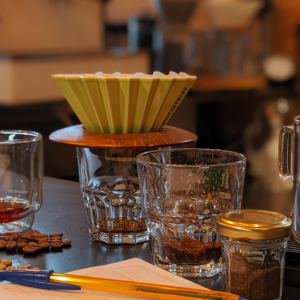 Cafés sauvages – De la cueillette à la tasse