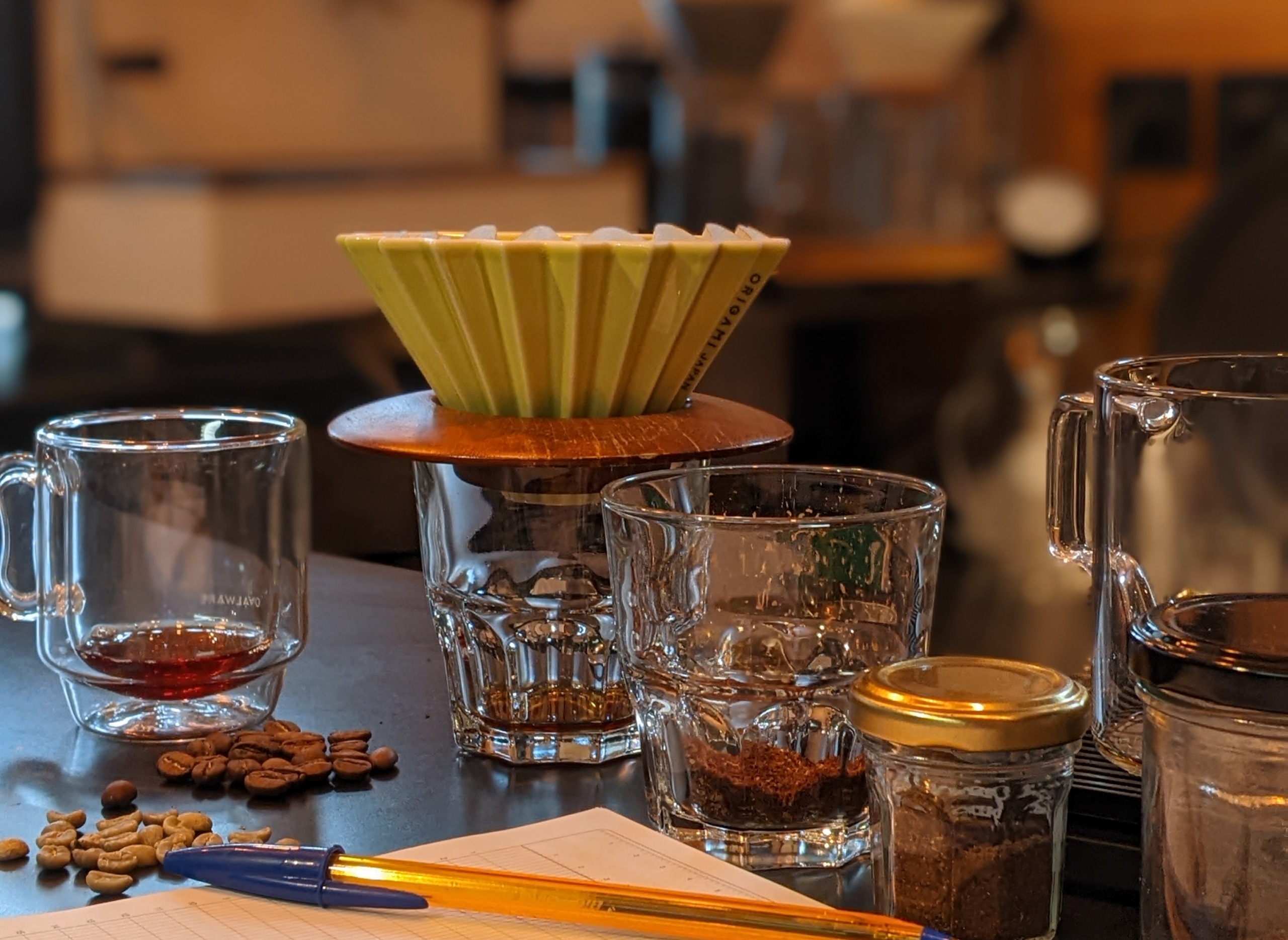 Cafés sauvages – De la cueillette à la tasse